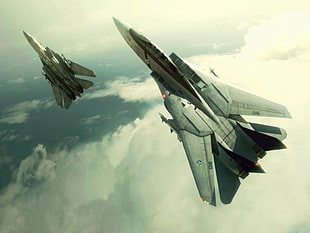 two gray fighter jets, Grumman F-14 Tomcat, clouds, video games, Ace Combat