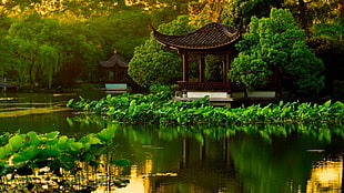 brown gazebo, landscape, Japanese Garden, lake