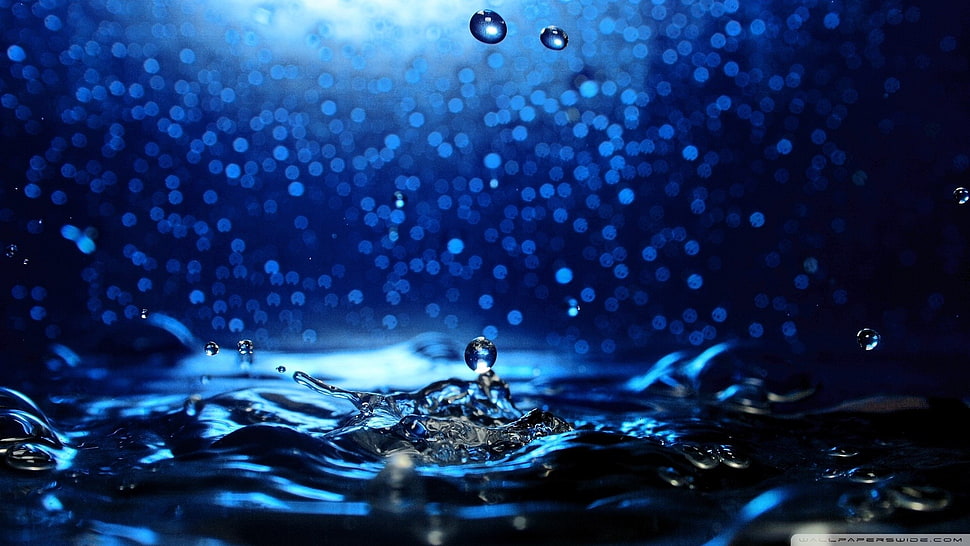 water droplets, nature, liquid, water, water drops HD wallpaper
