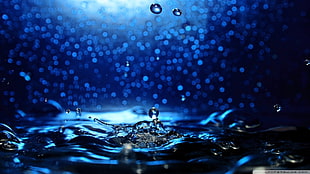 water droplets, nature, liquid, water, water drops HD wallpaper