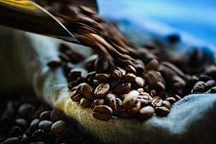 time lapsed photography of coffee beans