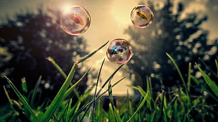 three water bubbles time lapse photography HD wallpaper