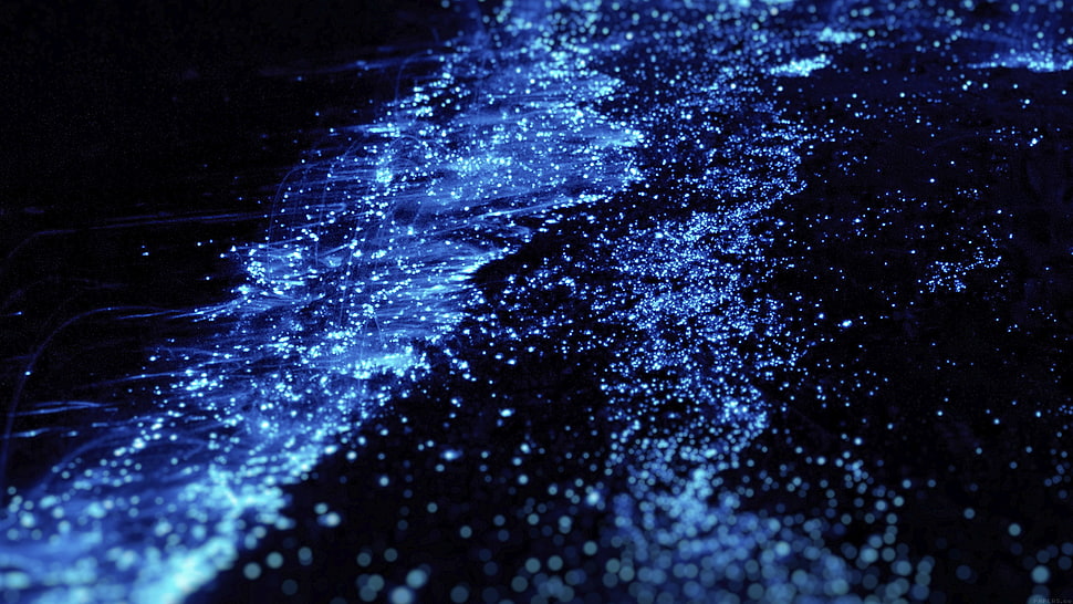 abstract, Worms HD wallpaper