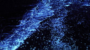 abstract, Worms HD wallpaper