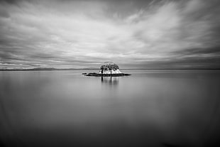 grayscale photo of island with trees