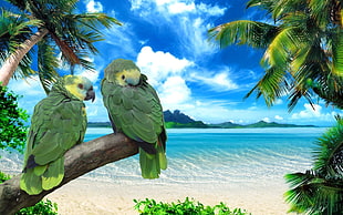 two green parrots on tree painting