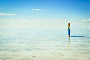 landscape photography of woman on beach sands
