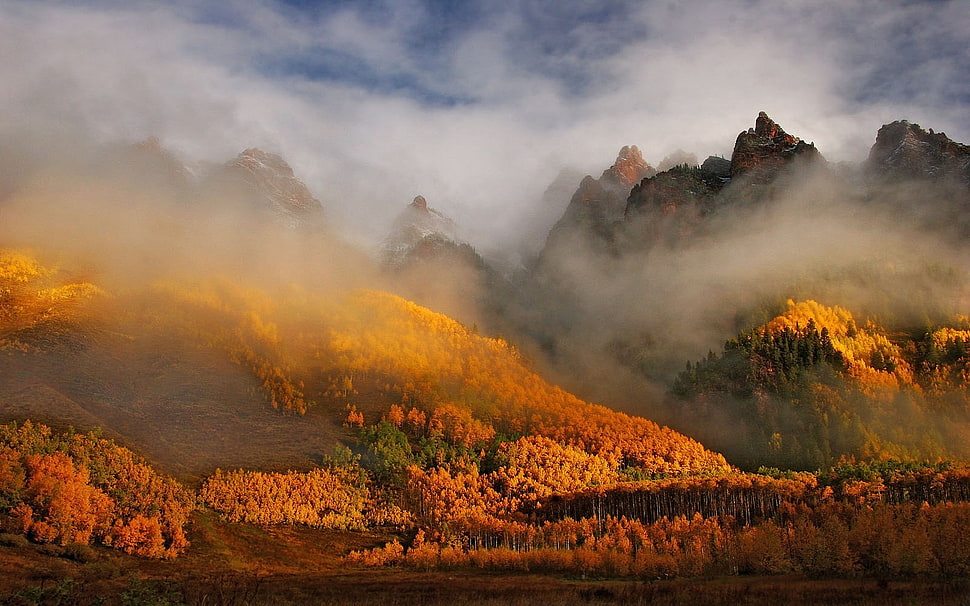 mountain photo, fall, forest, mountains, nature HD wallpaper