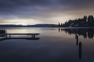 calm body of water with wooden dock surrounded with tall trees