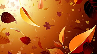 autumn leaf and maple leaf digital wallpaper