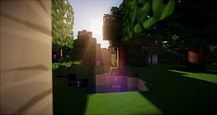 Minecraft game, Minecraft