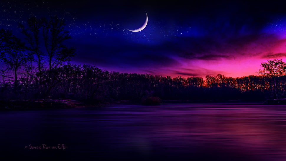 body of water near tree under crescent moon digital wallpaper, moonlight, nature, digital art, Moon HD wallpaper