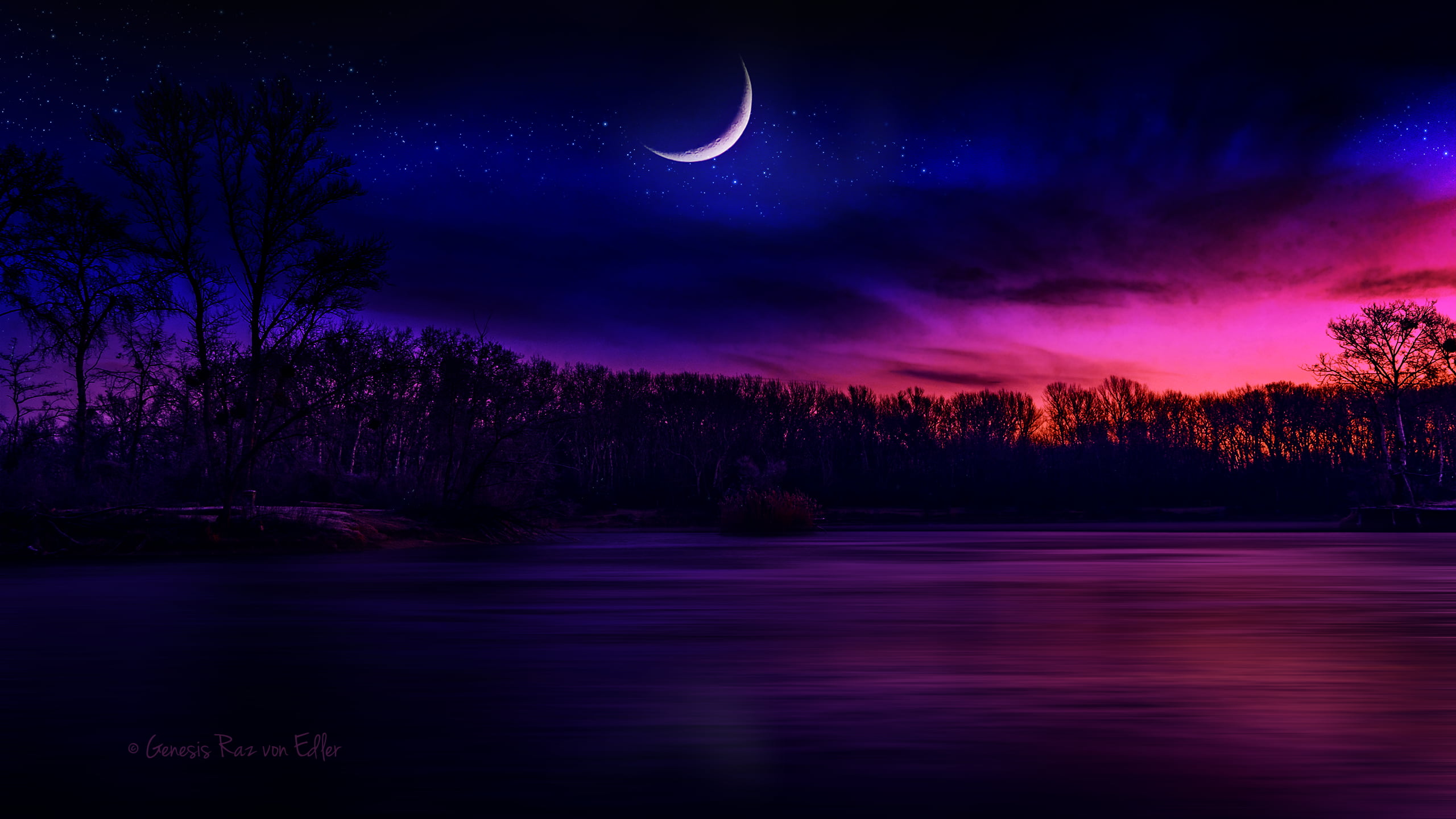 1440x900 resolution | body of water near tree under crescent moon