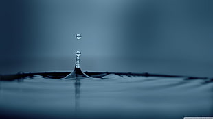 water, nature, water drops, water, liquid