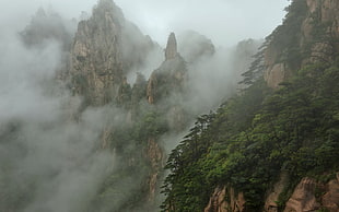 mountains with fogs photo, nature, landscape, mountains, trees