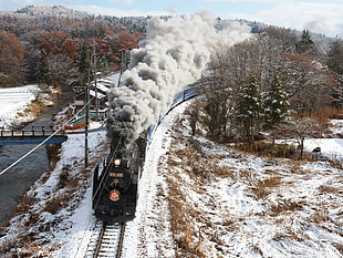 black train, train, nature, railway, winter HD wallpaper