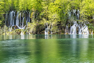 waterfalls near tall tress HD wallpaper