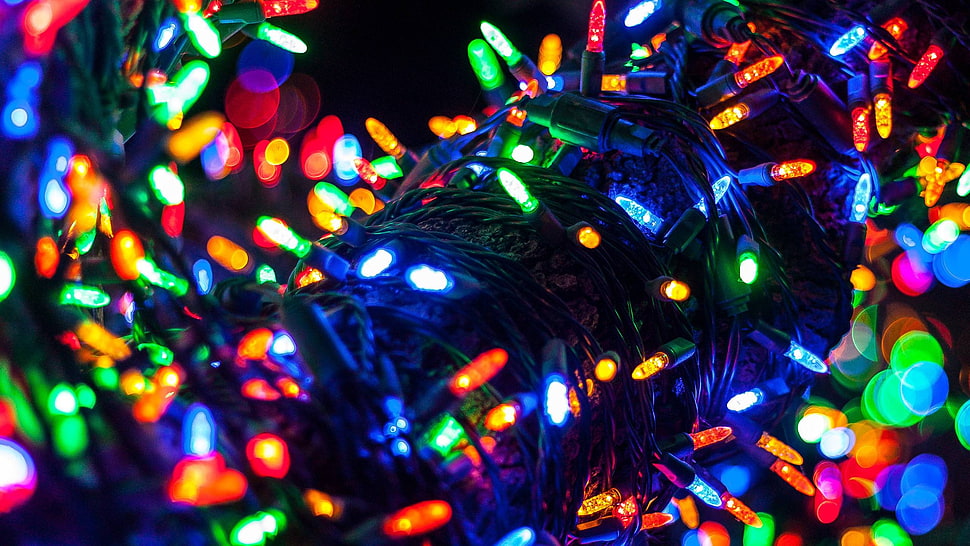 string lights, lights, town, LEDs HD wallpaper