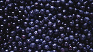 bunch of blueberries, blueberries, food, berries
