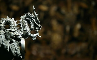 gray metal dragon emblem focus photography