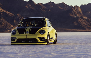 green and black Volkswagen New Beetle car on gray road HD wallpaper