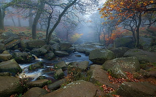 river between rocks, landscape, nature, trees, fall