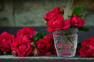 close up photo of red roses on clear cut glass cup