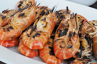 closeup photo of platter of grilled shrimps