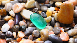 micro lens photography of pebble stones