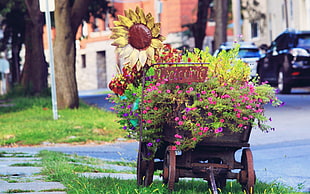 brown wooden wagon, flowers