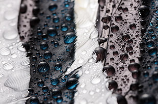 selective focus photography of water droplets on white and black surface