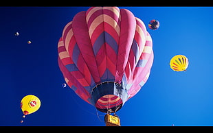 pink and blue hot air balloon, hot air balloons HD wallpaper