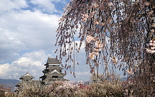 Japanese Imperial Castle