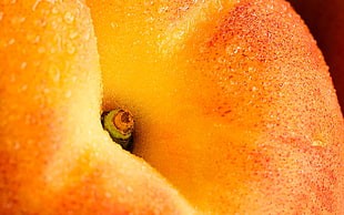closeup photography of Apple fruit HD wallpaper