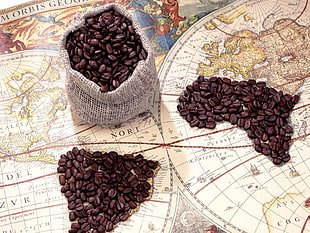 brown coffee beans HD wallpaper