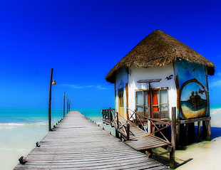 brown wooden dock, Mexico, landscape, sea HD wallpaper