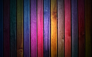 multicolored painted wall
