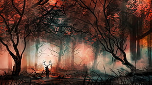 foggy black and red forest illustration HD wallpaper