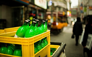 green bottles on crate