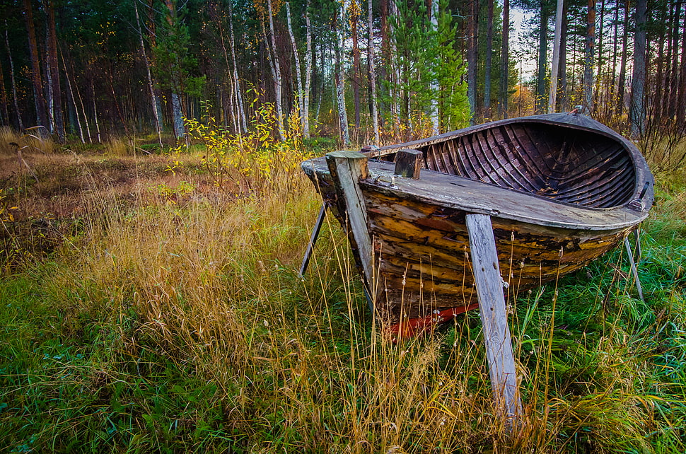 brown wooden boat on green grass field HD wallpaper
