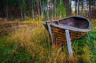 brown wooden boat on green grass field