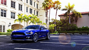 blue coupe, car, Ford Mustang, blue cars, palm trees