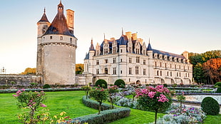 garden outside of castle during daytime
