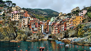 multicolored building lot, Cinque Terre, Italy, sea, hills