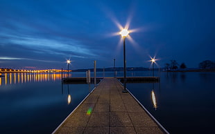 brown dock with light post beside body of water