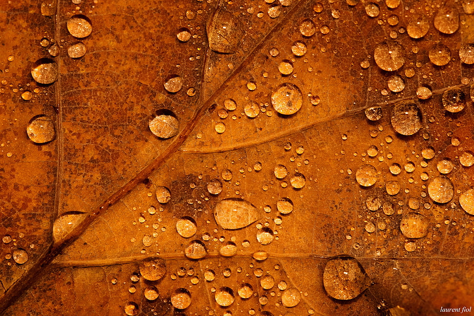 HD HD wallpaper