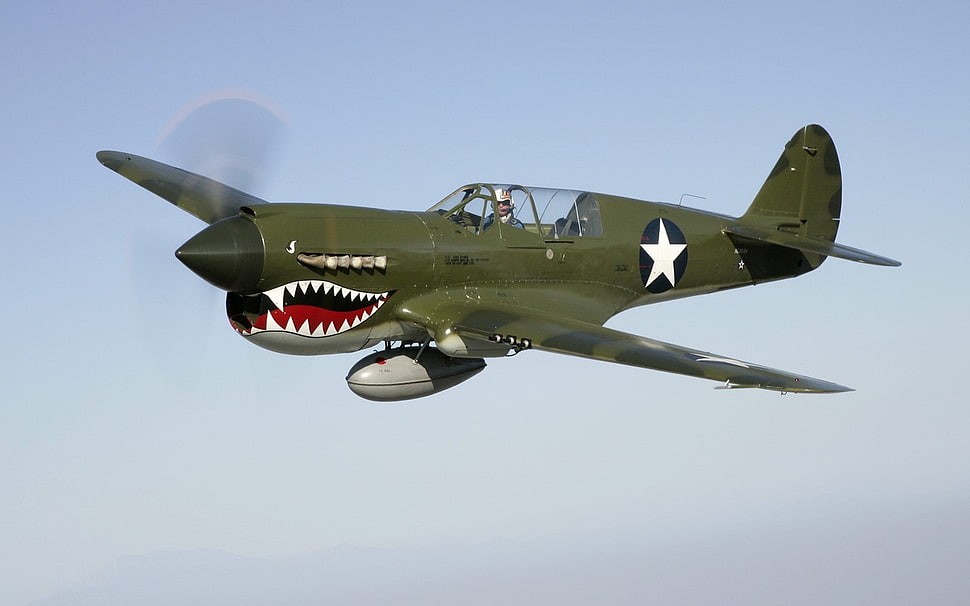 green and black monoplane, aircraft, military aircraft, p-40 HD wallpaper