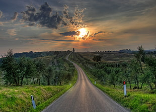 photo of road during golden hour, italy HD wallpaper