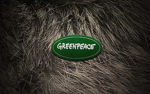 Greenpeace logo HD wallpaper