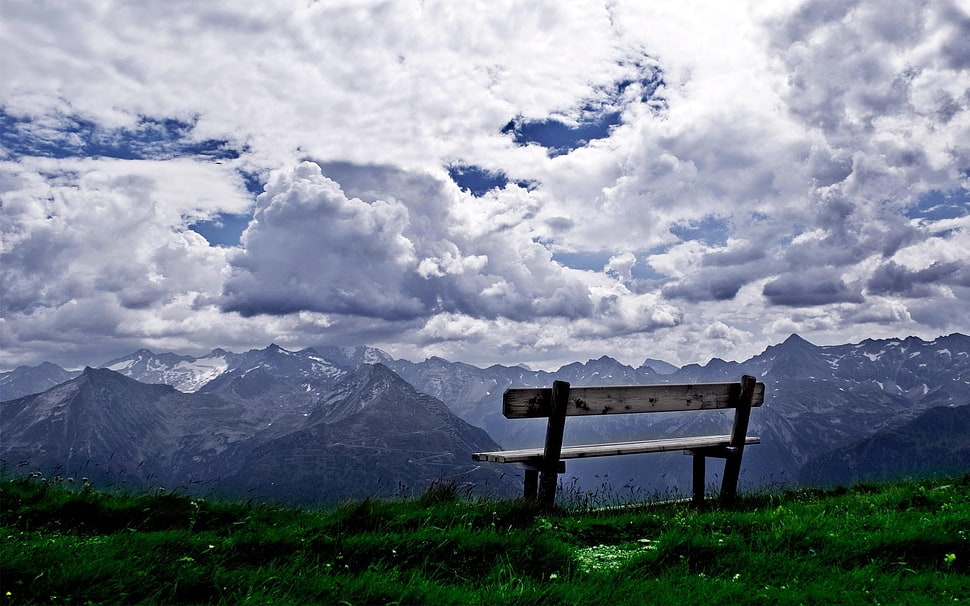 brown wooden patio bench, nature, bench HD wallpaper